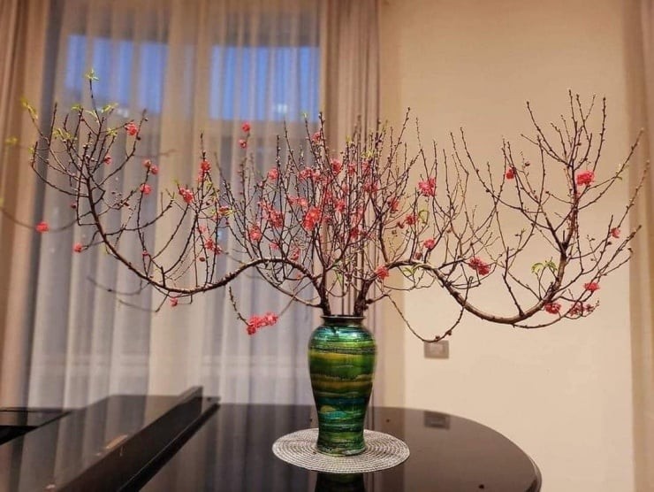 Nước cắm nên là nước sạch, có thể dùng nước ấm nhẹ (khoảng 30–40 độ C) vào ngày đầu để kích thích hoa hút nước nhanh hơn.