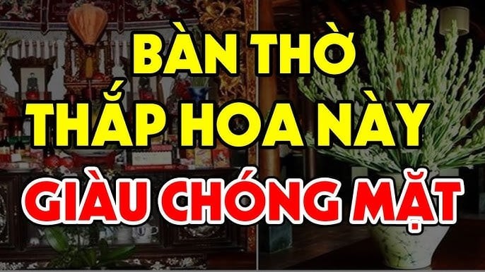 hoa ban tho