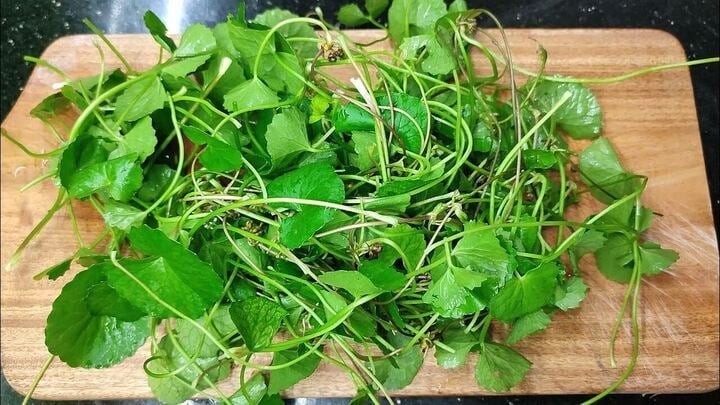 Rau má là loại rau dân dã, có mặt quanh năm ở hầu hết các chợ Việt. Theo Đông y, rau má có tính mát, giúp thanh nhiệt, giải độc và hỗ trợ chức năng gan.