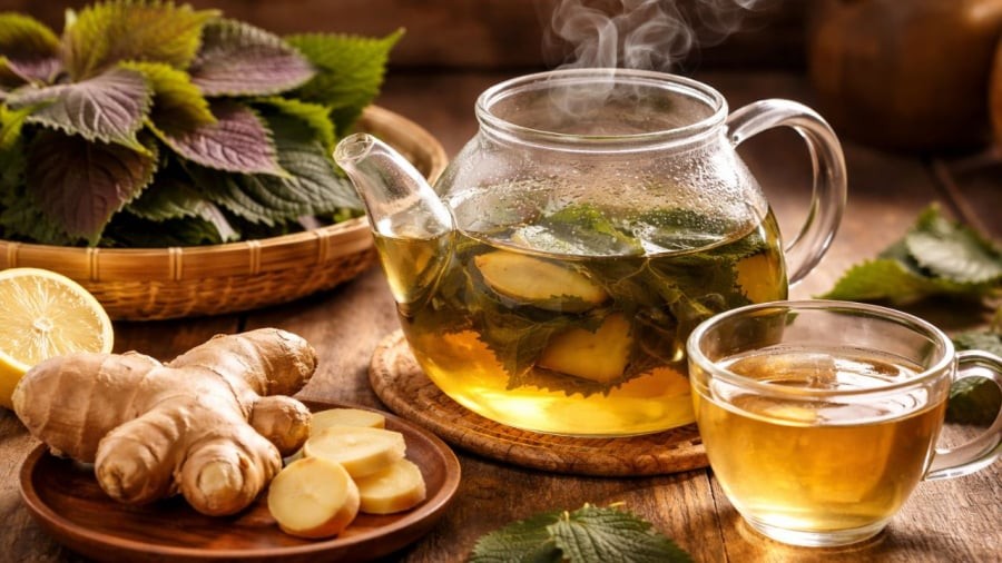 Uống nước lá tí tô gừng giúp bạn có bụng dạ dễ chịu hơn khi ăn cỗ Tết liên miên