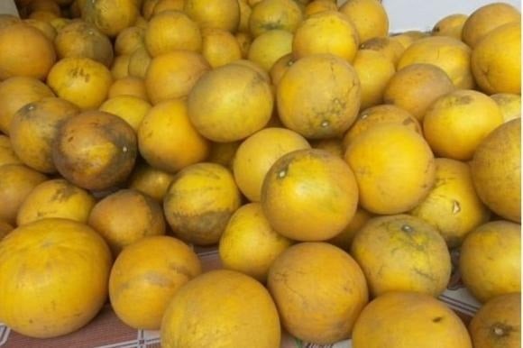  Bưởi chất lượng thường có vỏ căng, bóng, hơi ửng vàng và hình dáng tròn đều.