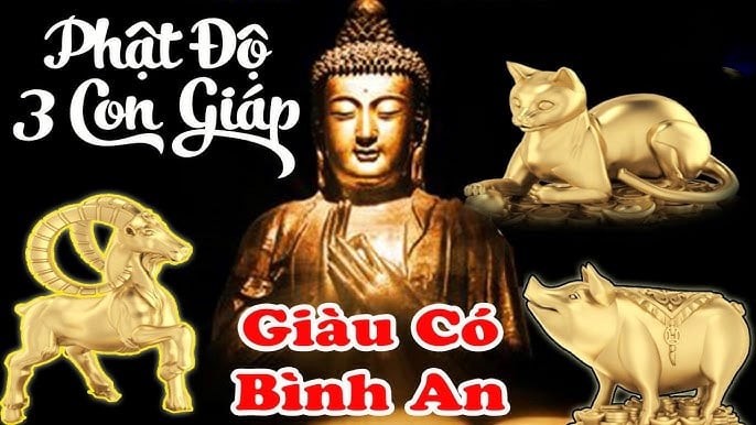 Người tuổi Tỵ vốn thông minh, sâu sắc nhưng từng trải qua không ít thử thách. Thời gian tới là lúc vận hạn nhẹ dần, cơ hội mở ra liên tiếp.