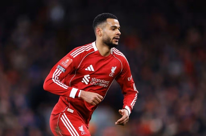 Liverpool được cho sẵn sàng bán Gakpo.