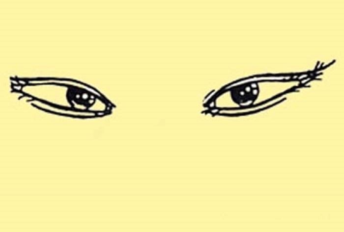 Phụ nữ mắt xếch ngược có xu hướng làm chủ gia đình.