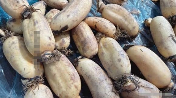 Sau Tết, nhiều gia đình chọn củ sen để nấu canh, hầm xương hay xào nhằm cân bằng lại khẩu vị sau những bữa ăn nhiều dầu mỡ.