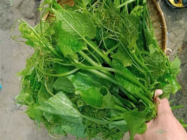 Bí quyết để món ăn xanh mướt là tước kỹ xơ, ngâm nước muối, sau đó xào nhanh trên lửa lớn cùng tỏi phi thơm và nêm nếm gia vị vừa ăn. 