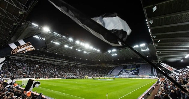 Newcastle muốn nâng cấp St James' Park