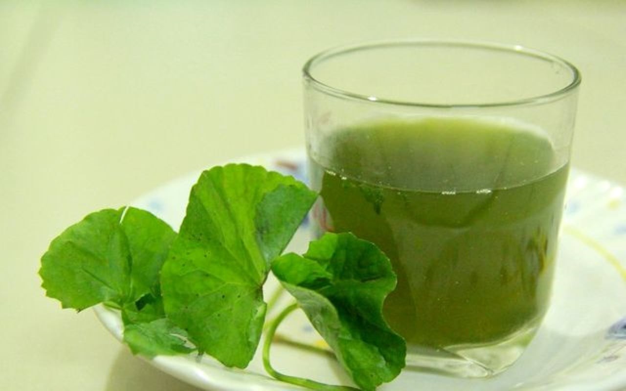 Rau má có tính mát và hàm lượng nước cao, giúp làm dịu cơ thể sau những ngày ăn uống nhiều dầu mỡ.