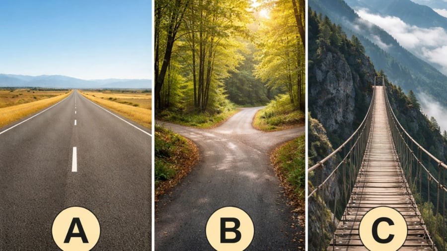 Bạn chọn hình ảnh nào?