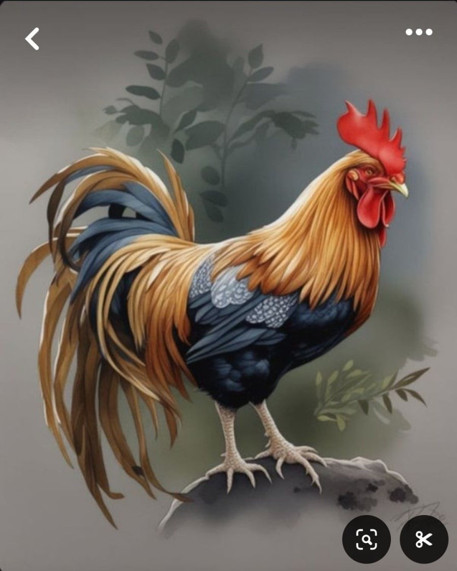 Tuổi Dậu tự tin bứt tốc