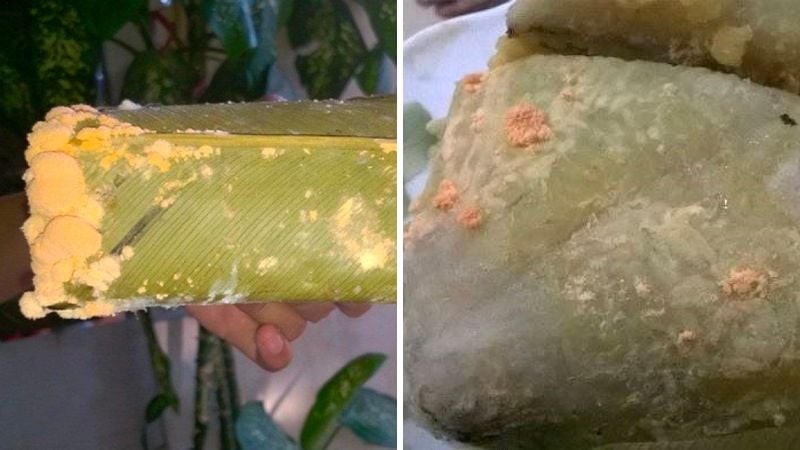 Bánh chưng bị mốc một góc, cắt đi ăn tiếp có hại gì không?