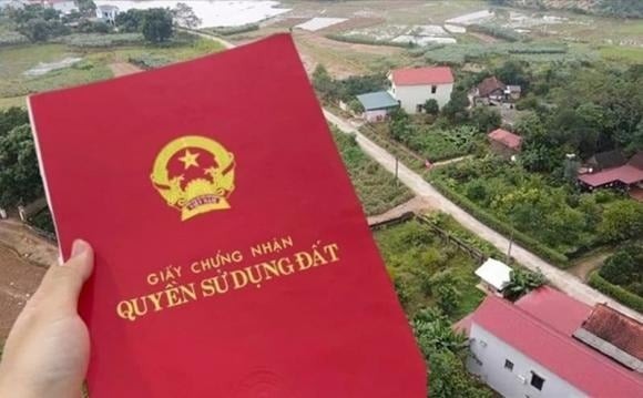 Mức xử phạt được áp dụng tùy theo khu vực và thời gian chậm đăng ký.
