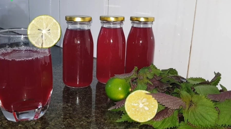 5 lý do bạn nên uống nước tía tô mỗi ngày