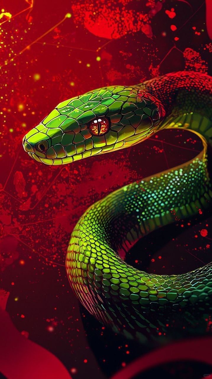 Tuổi Tỵ thông minh và nhạy bén
