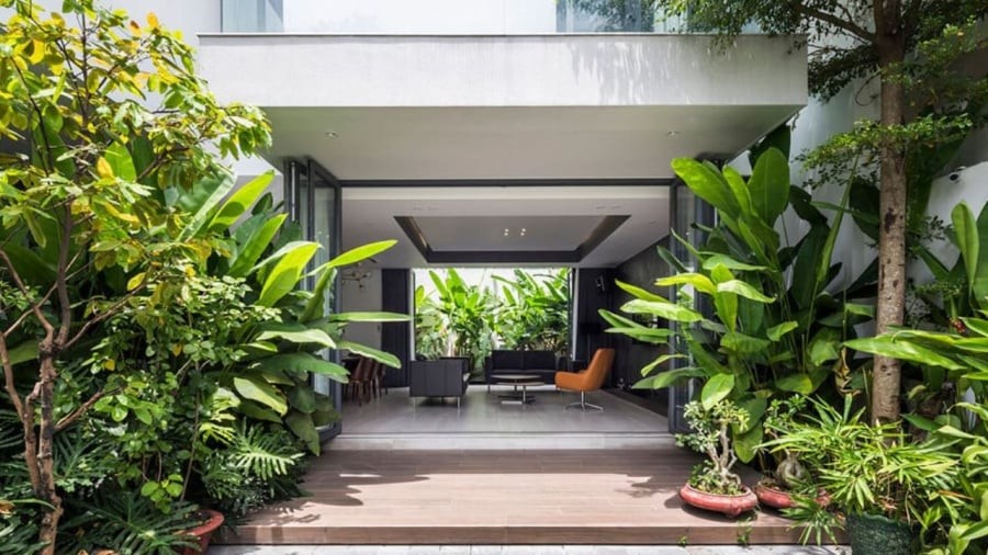 Nhà có cây cối phát triển xanh tốt, thường xuyên đơm hoa kết trái là một dấu hiệu tốt.