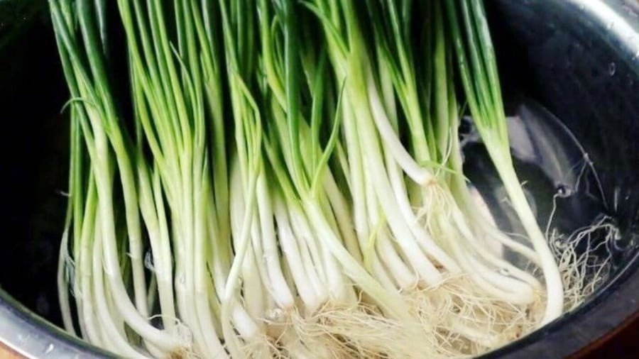 Trước khi bảo quản hành lá, bạn có thể rửa hành thật sạch để loại bỏ đất cát.