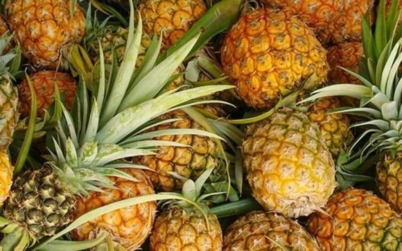Chuối cũng gây chú ý khi lần đầu tiên góp mặt trong bảng xếp hạng và được đánh giá là một trong những loại trái cây có mức độc tính thuốc trừ sâu thấp.