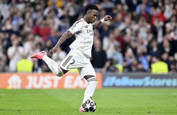 Vini đá hỏng quả 11 mét.