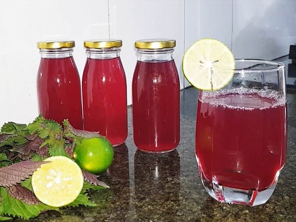 Mẹo nấu lá tía tô uống giải nhiệt, giải độc