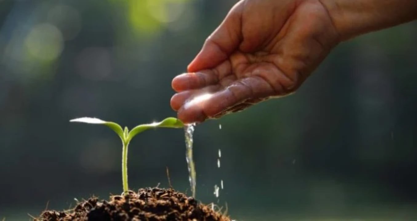 Hãy cứ tận tâm làm tốt việc hiện tại, phú quý và phúc khí sẽ đến đúng lúc. (Ảnh minh họa)