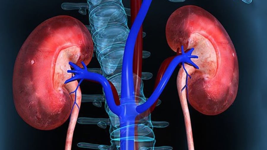 5 dấu hiệu vào ban đêm chứng tỏ thận của bạn rất khỏe mạnh