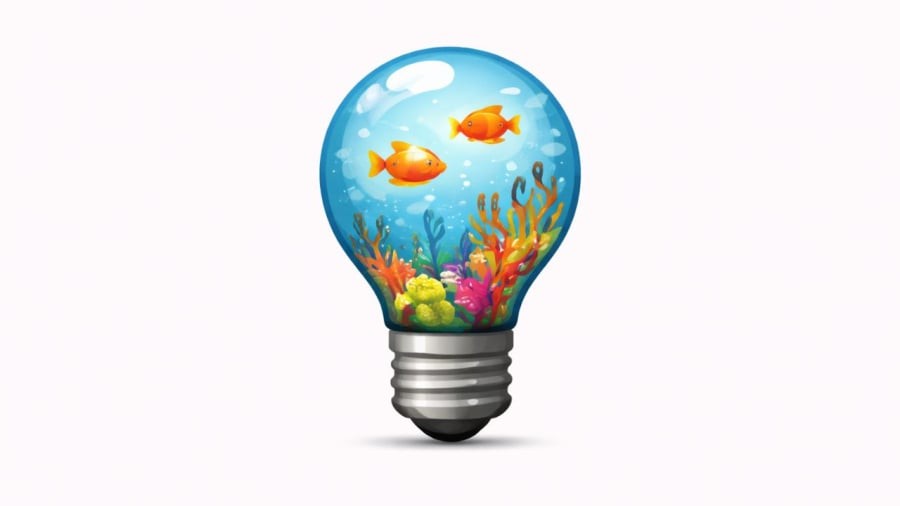 Bạn nhìn thấy gì trước tiên?