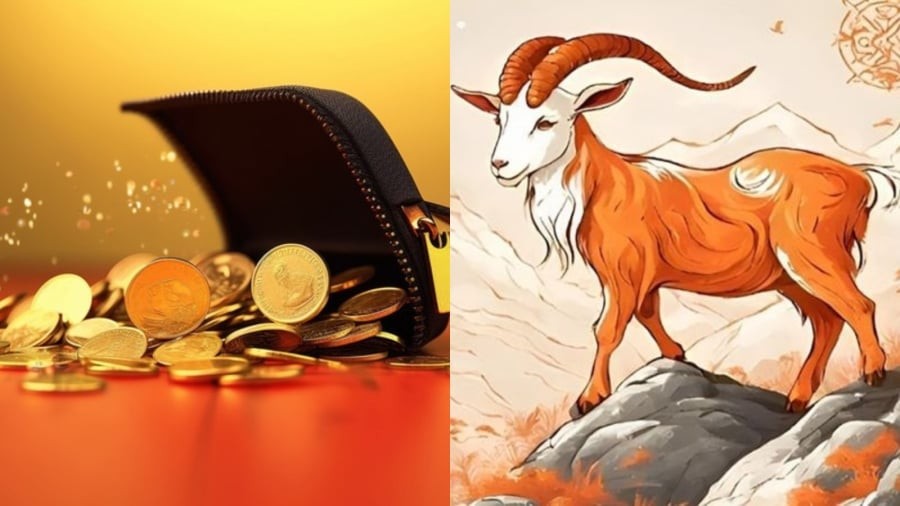 Người tuổi Mùi được đánh giá là một trong những con giáp có vận khí ổn định và thuận lợi nhất trong 90 ngày tới. Ảnh minh họa