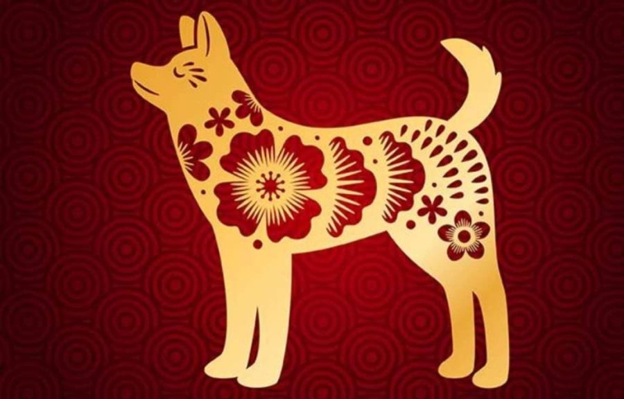 Chăm chỉ bền bỉ, thành quả xứng đángKhông ồn ào hay phô trương, người tuổi Tuất ghi điểm bằng sự chăm chỉ, trách nhiệm và tinh thần làm việc nghiêm túc. Ảnh minh họa