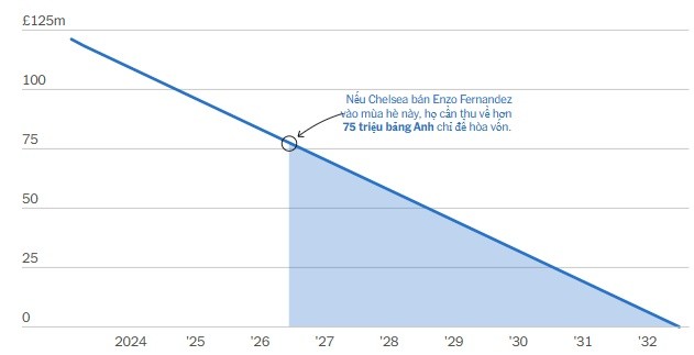Biểu đồ giá trị sổ sách ước tính của Enzo.