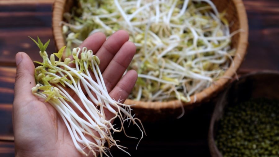 Giá đỗ là nguồn cung cấp vitamin nhóm B dồi dào, đặc biệt là B1, B2 và B6