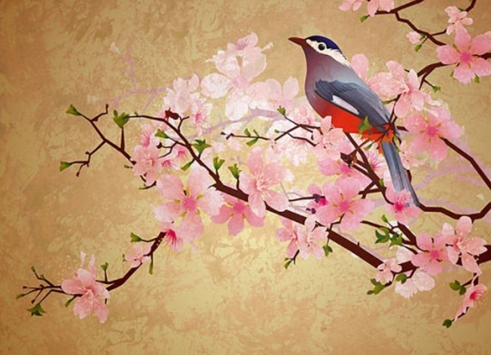 Xuân phân – tiết khí thứ 10 trong 24 tiết khí – đánh dấu thời điểm giữa mùa xuân, khi thiên nhiên bước vào giai đoạn sinh trưởng mạnh mẽ nhất. Ảnh minh họa