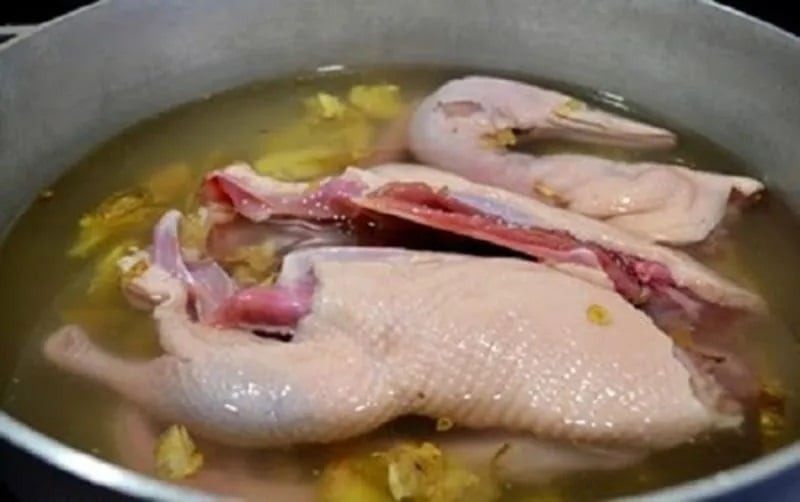 Sơ chế, làm sạch ngan