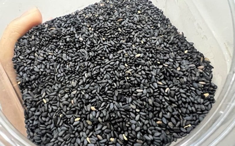 Mè đen từ lâu đã được xem là “thần dược” trong dân gian nhờ giàu dưỡng chất như vitamin E, sắt, kẽm và axit béo tốt