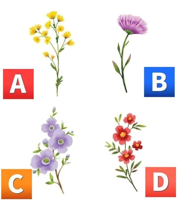 Hãy chọn 1 bông hoa nhé!