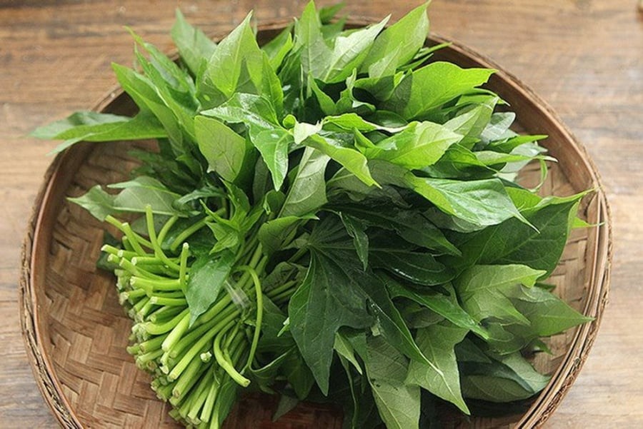 Lá khoai lang chứa nhiều hợp chất tự nhiên như alkaloid và saponin, giúp hạn chế côn trùng gây hại.