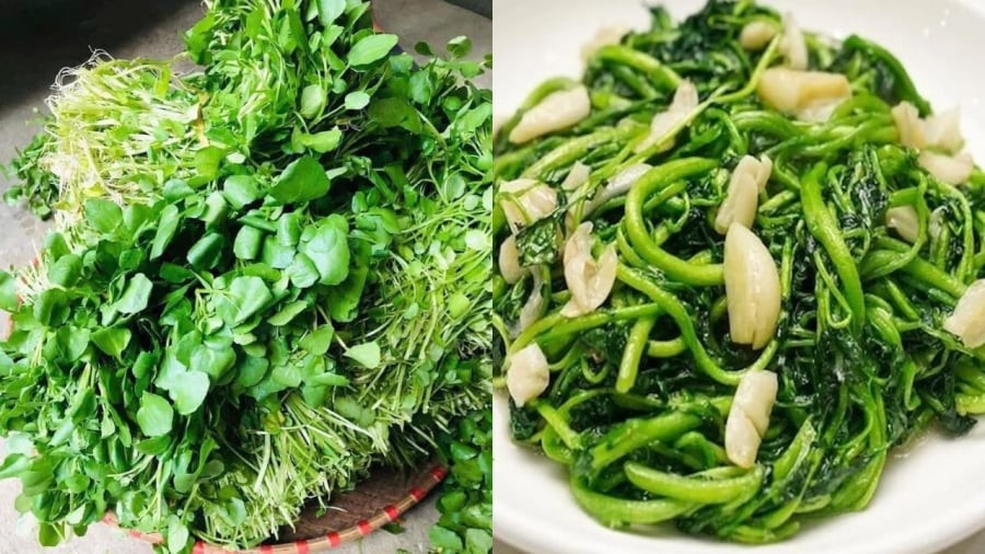 Rau cải xoong được xem là loại rau có tiềm năng trong việc phòng ngừa ung thư.