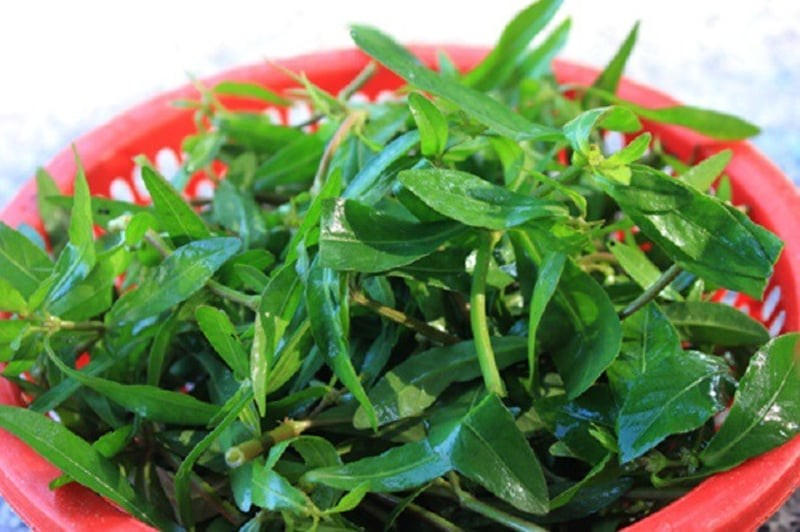 Rau dệu mọc hoang ở bờ mương, bờ ao – loại cây dân dã từng bị bỏ quên.