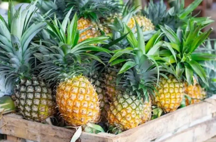 Dứa còn mang lại lợi ích nhất định cho hệ tim mạch. Ảnh minh họa