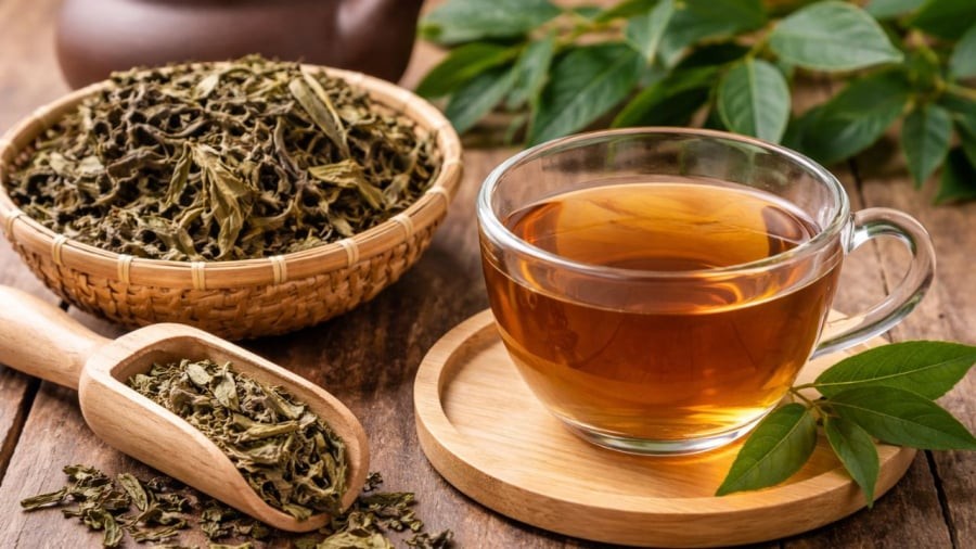 Uống nước xạ đen cũng cần lưu ý