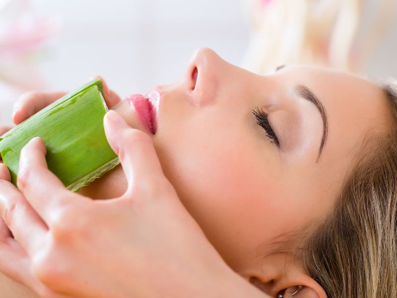 Nha đam, hay còn gọi là lô hội, nổi bật với khả năng làm dịu và cấp ẩm.