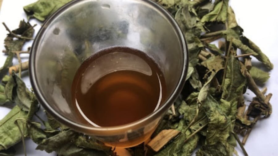 5 người nên thường xuyên uống lá xạ đen