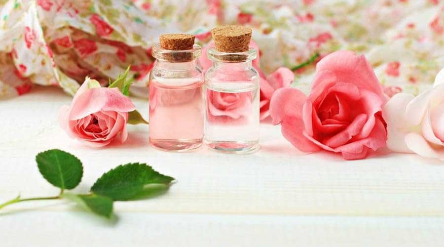 Một trong những lợi ích nổi bật của hoa hồng nằm ở khả năng chống oxy hóa tự nhiên.