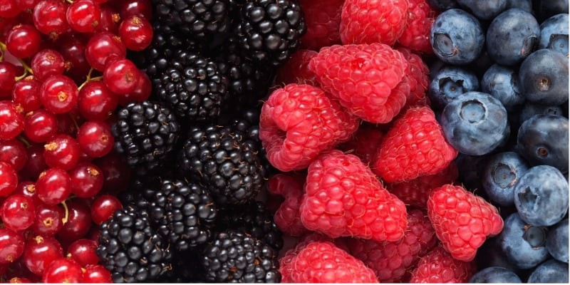 Nhóm trái cây có màu sắc đậm