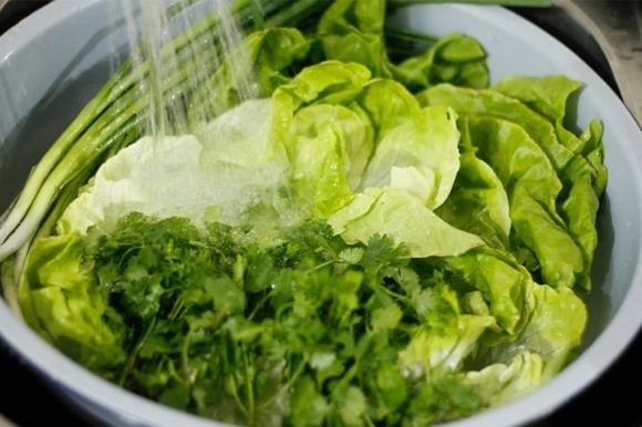 Không chỉ tốt cho sức khỏe, rau xà lách còn được nhiều chị em sử dụng trong chế độ ăn kiêng và làm đẹp nhờ giá trị dinh dưỡng cao và khả năng hỗ trợ giảm cân hiệu quả.

