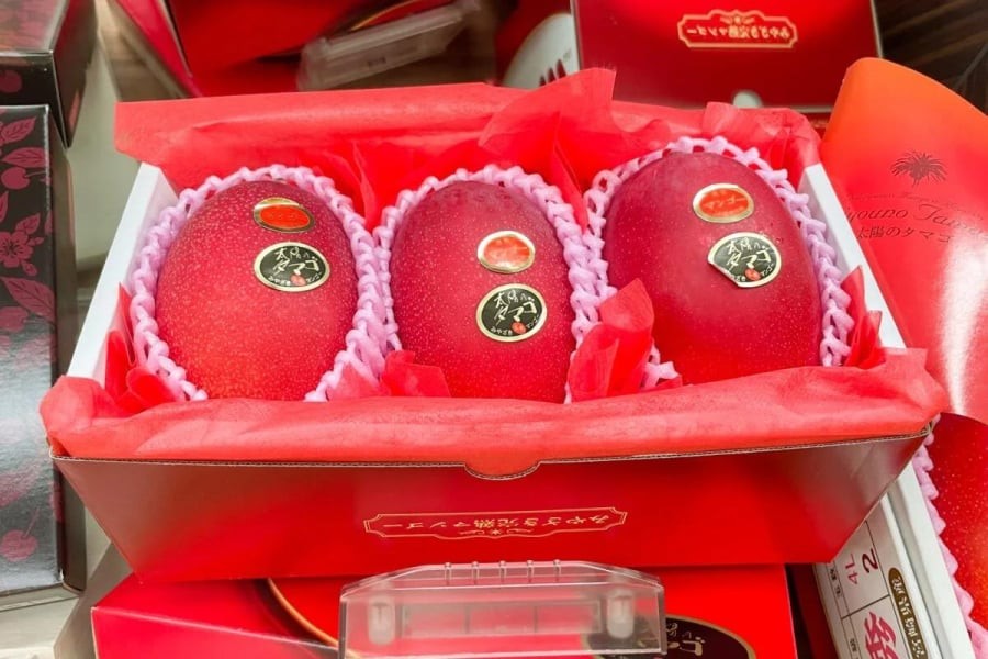 Xoài Miyazaki nổi bật với màu đỏ đặc trưng, thường được xem là trái cây cao cấp tại Nhật Bản.