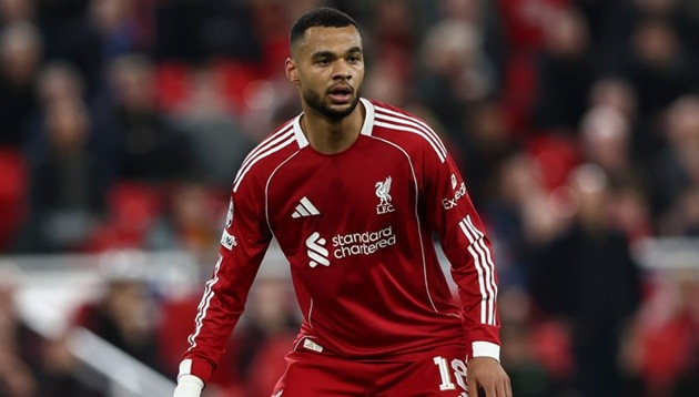 Gakpo không nằm trong kế hoạch trao đổi Diomande của Liverpool