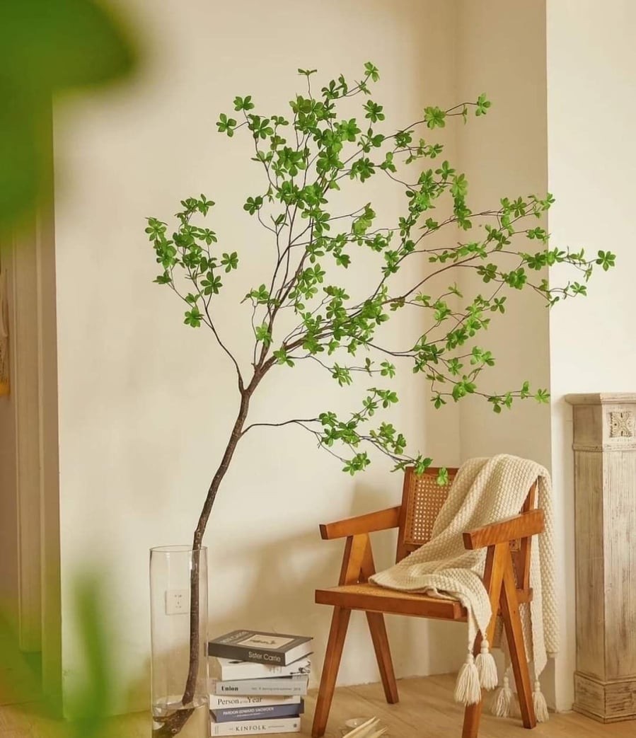 664ce35e073bf779e7b24e7df2dd04c3