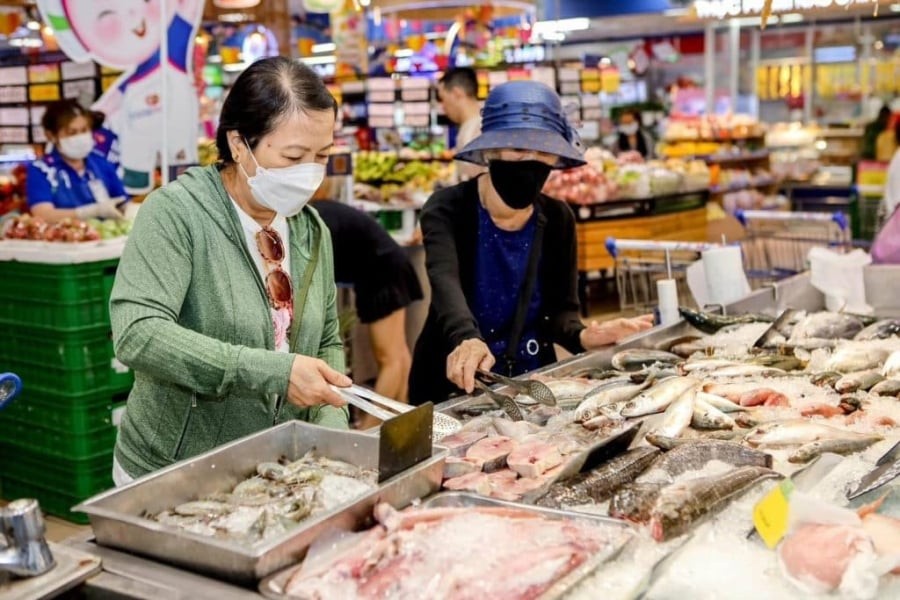 Cá mòi là loại cá biển nhỏ sống theo đàn, xuất hiện phổ biến trong nguồn hải sản tự nhiên. Mặc dù kích thước nhỏ, cá mòi chứa lượng Omega-3 đáng kể. 