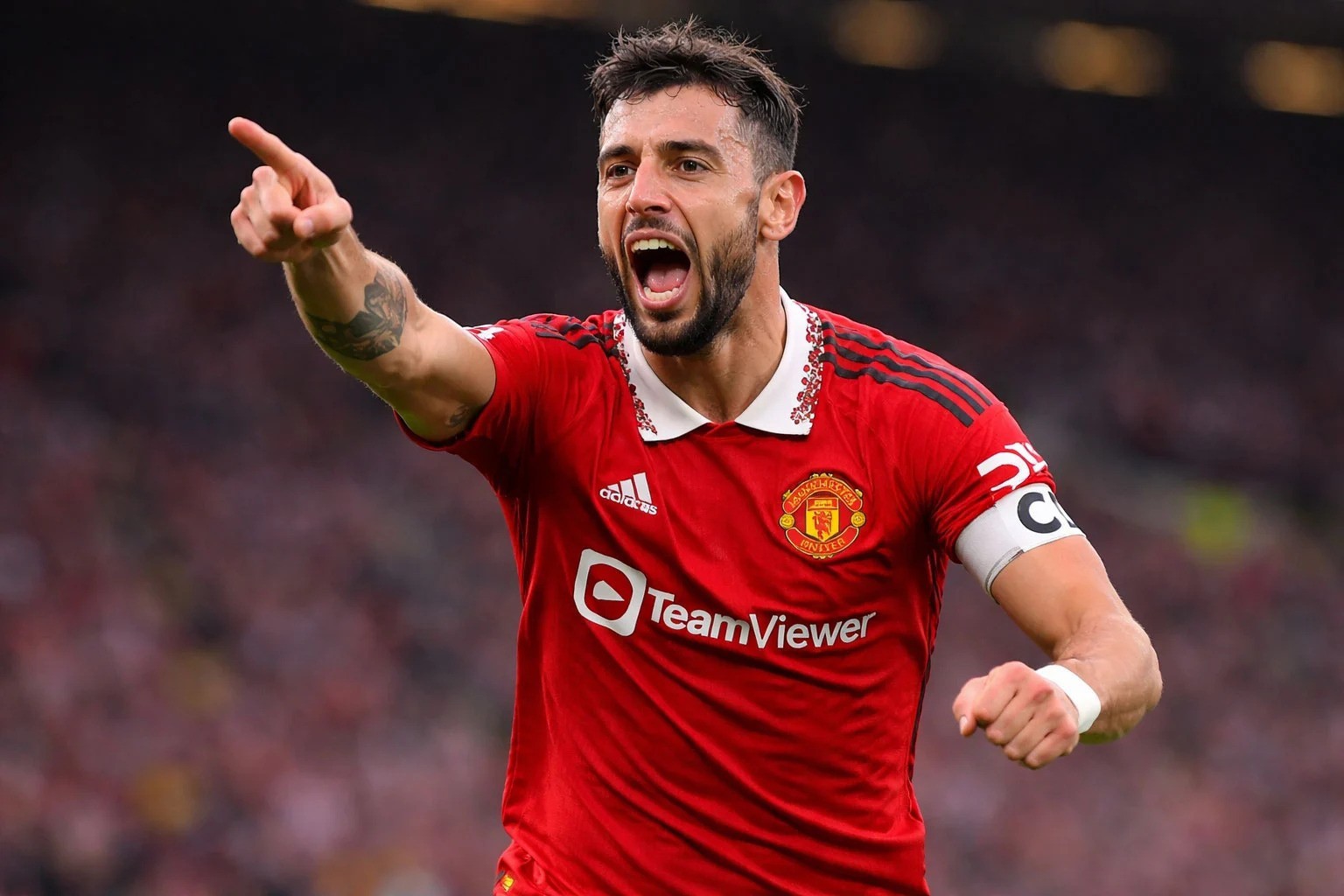 Fernandes chơi rực sáng.