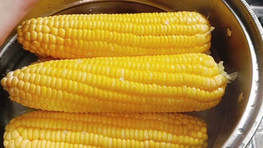 Luộc ngô thêm thứ này vào nồi, ngô ngọt - dẻo - thơm